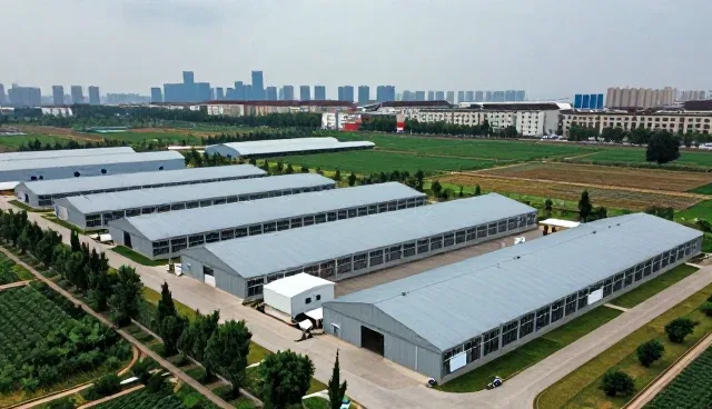 康复指导中数据分析的常见问题及处理方法